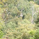 ���� �������, �������� - ��������� 9 ������� 2014 � ������ ���� ����������