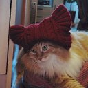 ���� Lenok, ������ - ��������� 27 ������ 2014 � ������ ���� ����������