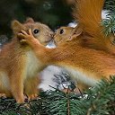 ���� ���������, �����-���������, 66 ��� - ��������� 10 ������� 2014