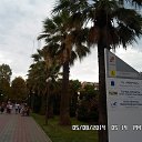  ., , 62  -  11  2014   