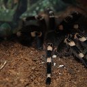 ���� Sasha, ������, 41 ��� - ��������� 15 �������� 2014 � ������ ���� ����������