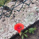 ���� �������, ��������� - ��������� 14 �������� 2014 � ������ ���� ����������