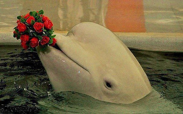 �� ,��� ��� ��� �������?....������ ���������, ����������...� ��������� ������!!!....)))))