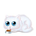 ���� �������� �, ���������� - ��������� 18 �������� 2014 � ������ �PetLove�