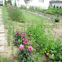 ���� �����, ����� - ��������� 15 ������� 2014 � ������ ���� ����������