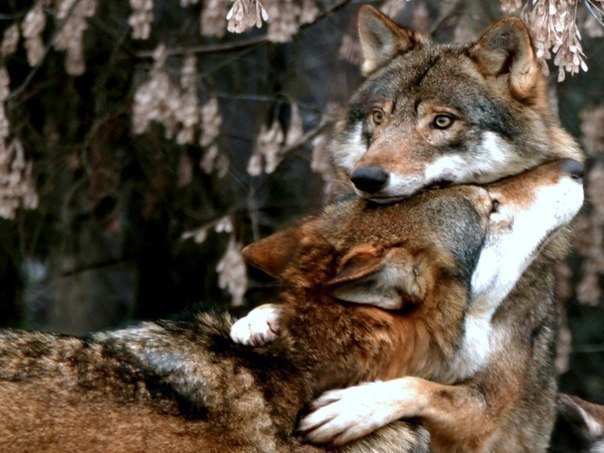 � ���� ���� ���� ������� ��, � ������ ��� �� ������, ��� ������ ��� �����; � �, ������ ��� �� ���� ...