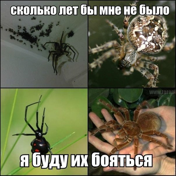    :D - 14  2014  15:52