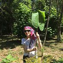 ���� �������, ����� - ��������� 23 ������� 2014 � ������ ����� 2014�