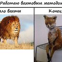 ���� �������, ���������, 47 ��� - ��������� 31 ������� 2014 � ������ ������ ��������