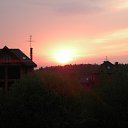 ���� �����, ������, 40 ��� - ��������� 17 �������� 2014 � ������ ���� ����������