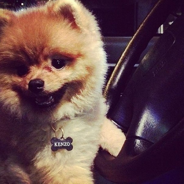 ...����� ������ - 4