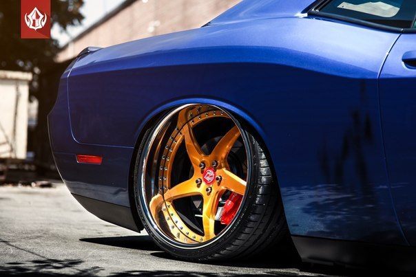 Dodge Challenger 392 HEMI on Vip Modular Wheels - 7