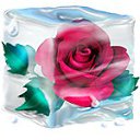 ���� ������, ������������, 65 ��� - ��������� 23 ������ 2014 � ������ ���� ����������