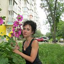 ���� �����, ����, 48 ��� - ��������� 17 �������� 2014 � ������ ���� ����������