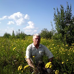 ���� ������, ��������, 64 ���� - ��������� 4 ������� 2014