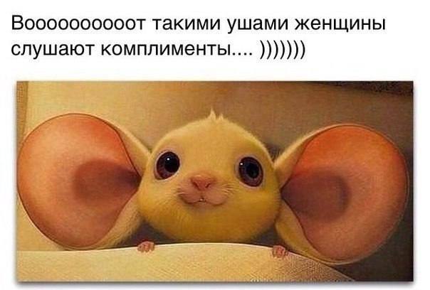 ����� � ����� - 27 ������� 2014 � 15:34
