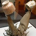  Sergey, , 58  -  3  2014    