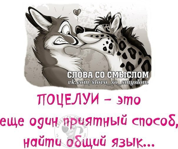 ...������������ :)