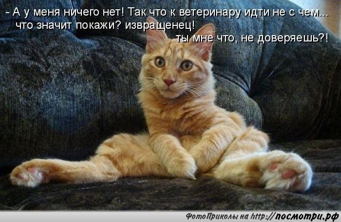  - 7  2014  16:37