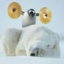 ���� �����, ������ - ��������� 3 ������� 2014 � ������ ������ ��������