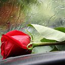 ���� 🌼������🌼, ������, 42 ���� - ��������� 15 �������� 2014 � ������ ���� ����������