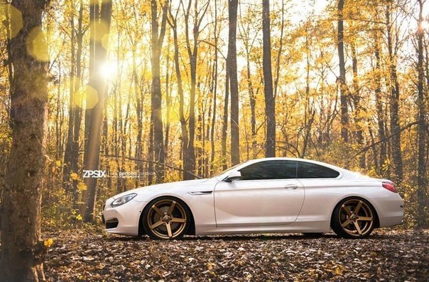 BMW 6 Series F13