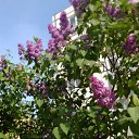 ���� �������, ������ - ��������� 24 ������� 2014 � ������ ������ ��������