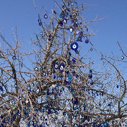 �����, �����-���������, 62 ����