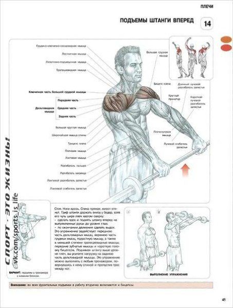 #SPORT_òðåíèðîâêè@sports_is_life.ÓÏÐÀÆÍÅÍÈß ÄËß ÄÅËÜÒÎÂÈÄÍÛÕ ÌÛØÖÏÅÐÅÊÐÅÑÒÍÛÅ ÌÀÕÈ ÐÓÊÀÌÈ ÍÀÇÀÄ Ñ ... - 3