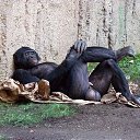  , -, 47  -  30  2014    