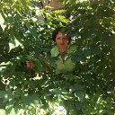 ���� �������, ������, 50 ��� - ��������� 12 ������ 2014 � ������ ���� ����������