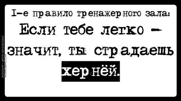 СПОРТ - ЭТО ЖИЗНЬ - 6 октября 2014 в 11:06
