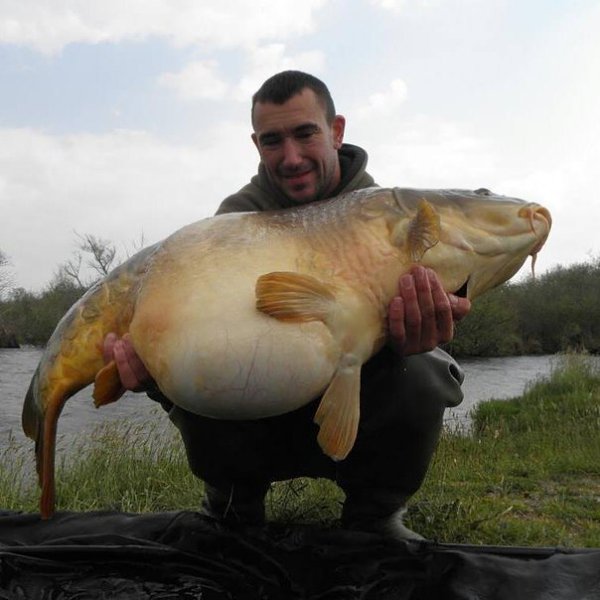 ����� ������� - 23 ������ 2014 � 12:48