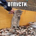 ���� �������, �������, 46 ��� - ��������� 10 �������� 2014 � ������ ������ ��������