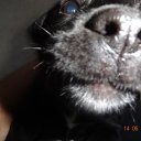 ���� ������� �����, ������, 50 ��� - ��������� 12 ������� 2014 � ������ ���� ����������