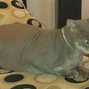 ���� ���������, ����������, 52 ���� - ��������� 29 �������� 2014