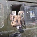 ���� ������, ������, 52 ���� - ��������� 28 ������ 2014 � ������ ���� ������