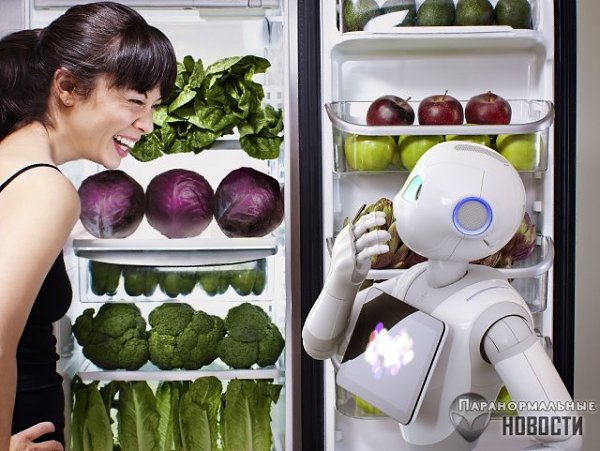 В ЯПОНИИ НАЧАЛИСЬ ПРОДАЖИ ЭМОЦИОНАЛЬНЫХ РОБОТОВ.В Японии стартовали пробные продажи гуманоидных ... - 2