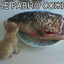 ���� �����, ������, 64 ���� - ��������� 16 ������ 2014 � ������ ������ ��������