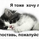 ���� ��������, ������, 58 ��� - ��������� 5 ������� 2014 � ������ ����������� ��������