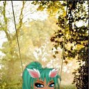 ���� ��������, ������ - ��������� 29 ������� 2014 � ������ ���� ����������