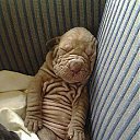 ���� ������, ���� - ��������� 30 ������� 2014 � ������ ������ ��������