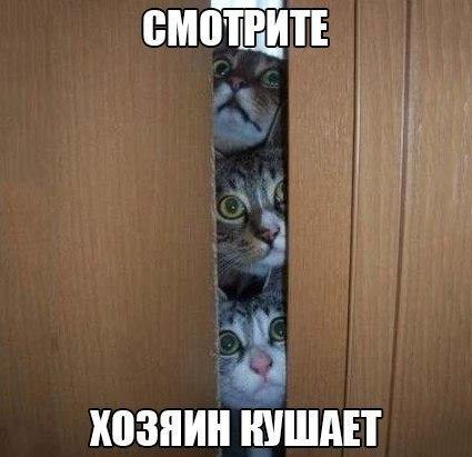   - 15  2014  12:32