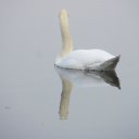 : 
 ,    .
:  
   .

  ,    
    
.  
   .

    
      .
   
   

  .
: ,

!
////.
    