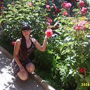 ���� ���������, ����, 60 ��� - ��������� 13 ������� 2014 � ������ ������ ��������