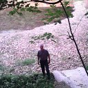 ���� ��������, �����, 63 ���� - ��������� 27 ������� 2014 � ������ �� �� ������� ������.������.���������.�