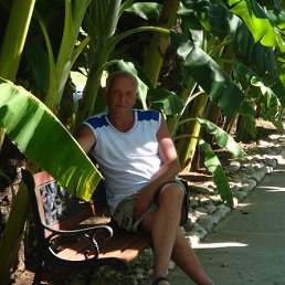 ���������, ������, 65 ���