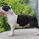 ���� �����, ���� - ��������� 19 �������� 2014