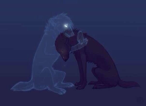 ������ ��� ���� ������ ����� � ����� ������, ���� ���� ��� ������ �� �����.