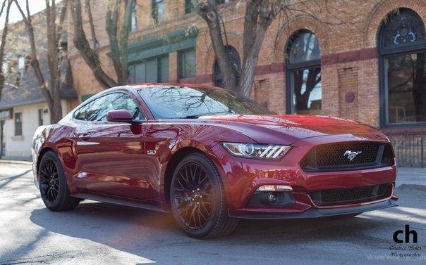 Ford Mustang GT, 2015. - 3